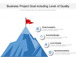 Business project goal including level of quality