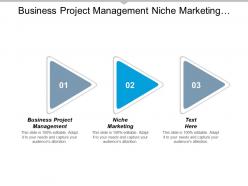 Business project management niche marketing planning competitive analysis cpb