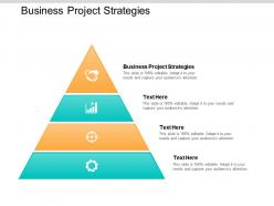 Business project strategies ppt powerpoint presentation file example cpb