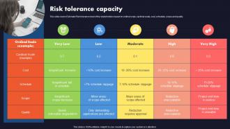 Business Quality Assurance Risk Tolerance Capacity Ppt Portfolio Example Introduction