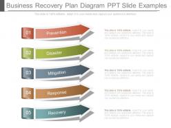 Business recovery plan diagram ppt slide examples