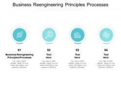 Business reengineering principles processes ppt powerpoint presentation summary guidelines cpb