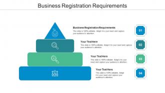 Business registration requirements ppt powerpoint presentation portfolio elements cpb