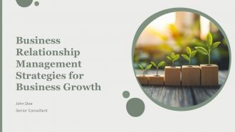 Business Relationship Management Strategies For Business Growth PPT PowerPoint AT
