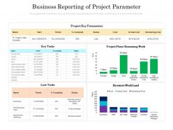 Business reporting of project parameter
