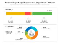 Business reporting of revenue and expenditure overview