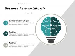 Business revenue lifecycle ppt powerpoint presentation portfolio slides cpb