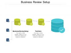 Business review setup ppt powerpoint presentation professional graphics tutorials cpb