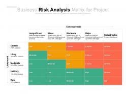Business risk analysis matrix for project