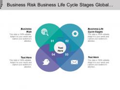 Business risk business life cycle stages global investment risk management cpb