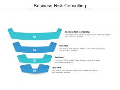 Business risk consulting ppt powerpoint presentation styles brochure cpb