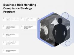 Business Risk Handling Compliance Strategy Program