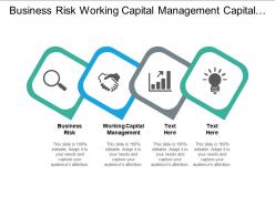 Business risk working capital management capital expenditure planning process cpb