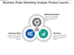 Business roles marketing analysis product launch marketing plan