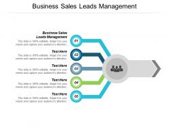 Business sales leads management ppt powerpoint presentation summary vector cpb