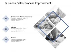 Business sales process improvement ppt powerpoint presentation layouts cpb