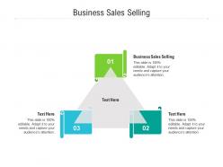 Business sales selling ppt powerpoint presentation show images cpb