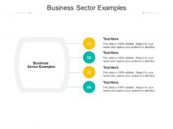 Business sector examples ppt powerpoint presentation layouts background image cpb