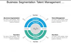 Business segmentation talent management organizational culture assessment tools cpb