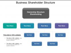Business shareholder structure