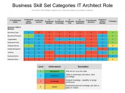 Business Skill Set Categories It Architect Role