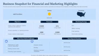 Business Snapshot For Financial And Marketing Highlights