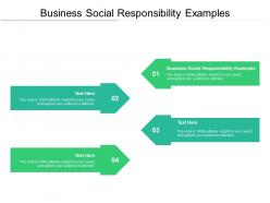 Business social responsibility examples ppt powerpoint presentation layouts summary cpb