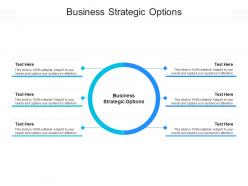 Business strategic options ppt powerpoint presentation outline sample cpb