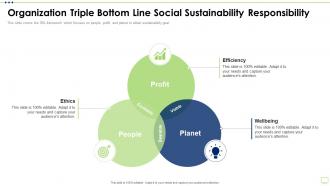 Business Strategy Best Practice Tools Organization Triple Bottom Line Social