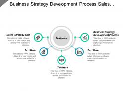 Business strategy development process sales strategy plan management tools cpb