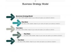Business strategy model ppt powerpoint presentation gallery objects cpb