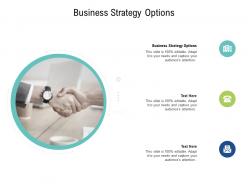 Business strategy options ppt powerpoint presentation pictures example cpb