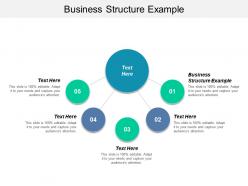 Business structure example ppt powerpoint presentation templates cpb