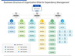 Business structure of organization slide for dependency management infographic template