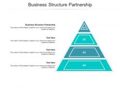 Business structure partnership ppt powerpoint presentation icon aids cpb