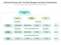 Business structure with top team manager and various departments