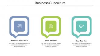 Business subculture ppt powerpoint presentation slides template cpb