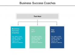 Business success coaches ppt powerpoint presentation file graphics download cpb