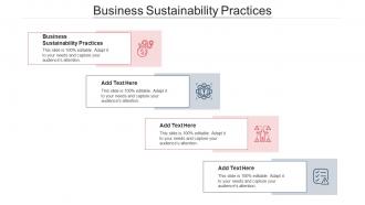Business Sustainability Practices Ppt Powerpoint Presentation Slides Background Cpb