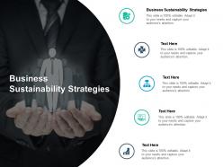 Business sustainability strategies ppt powerpoint presentation layouts introduction cpb