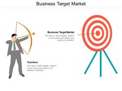 Business target market ppt powerpoint presentation outline guide cpb