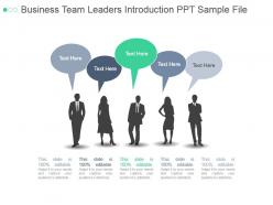 Business team leaders introduction ppt sample file
