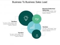 Business to business sales lead ppt powerpoint presentation file example topics cpb