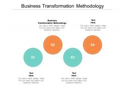 Business transformation methodology ppt powerpoint presentation infographics professional cpb