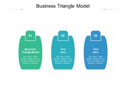 Business triangle model ppt powerpoint presentation show example cpb