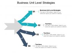 Business unit level strategies ppt powerpoint presentation gallery ideas cpb