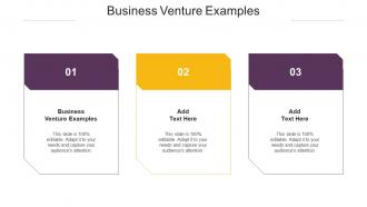 Business Venture Examples Ppt Powerpoint Presentation Ideas Example File Cpb
