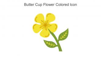 Butter Cup Flower Colored Icon In Powerpoint Pptx Png And Editable Eps Format