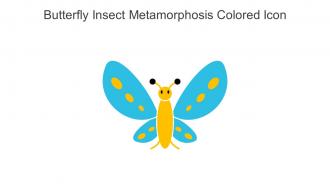 Butterfly Insect Metamorphosis Colored Icon In Powerpoint Pptx Png And Editable Eps Format