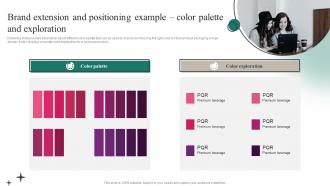 C49 Positioning A Brand Extension Brand Extension And Positioning Example Color Palette